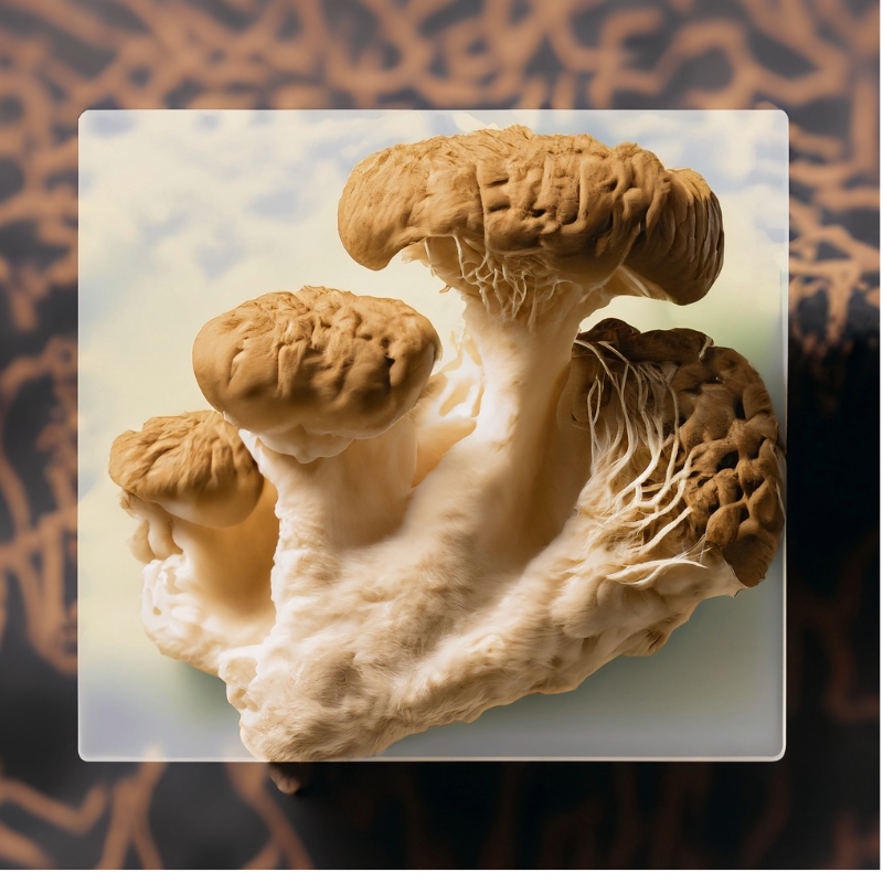 Lions Mane Mushrooms Can Clear Brain Fog